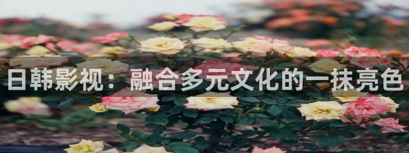 熊猫免费影视在线观看：日韩影视：融合多元文化的一抹亮色