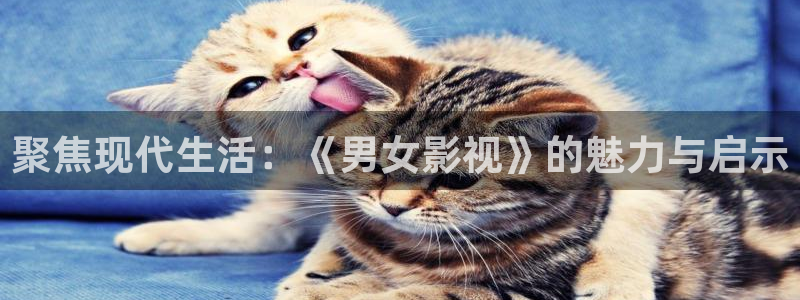 熊猫影院在线观看免费高清完整版