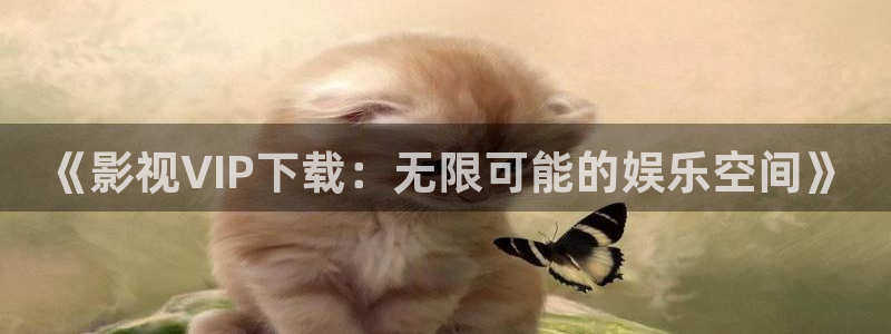 熊猫包