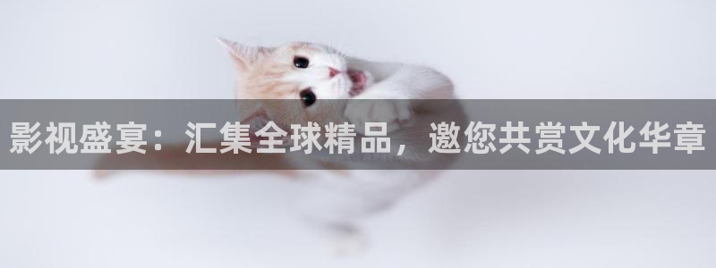 熊猫电影yy8y3(1)