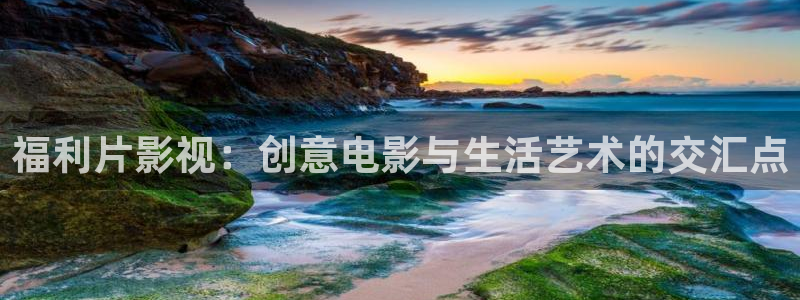 panda 熊猫电视