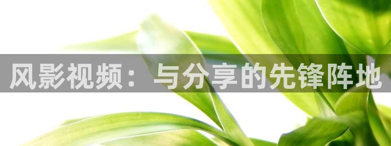 熊猫熊猫熊猫熊猫熊猫：风影视频：与分享的先锋阵地