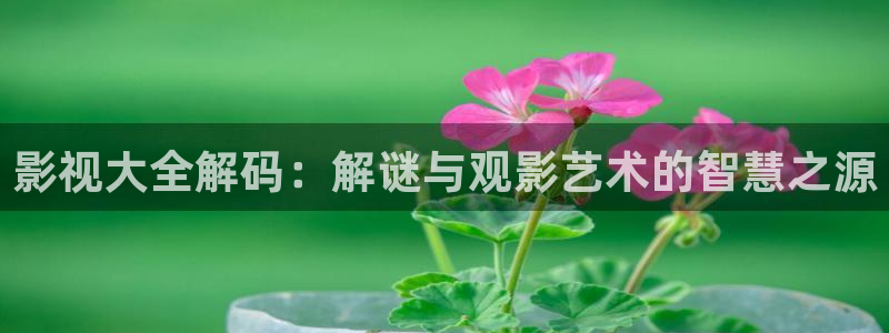中电熊猫
