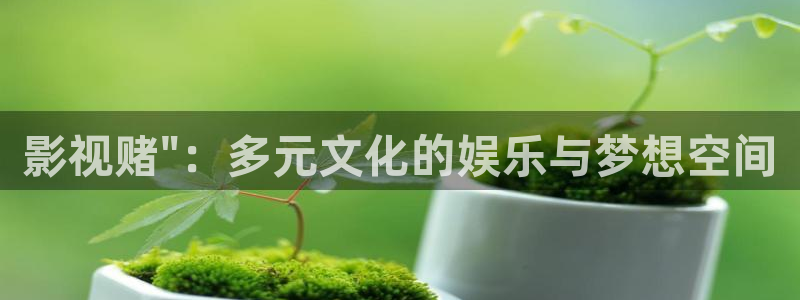 熊猫主题：影视赌\