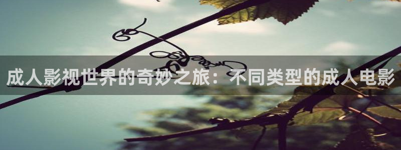 熊猫影院：成人影视世界的奇妙之旅：不同类型的成人电影