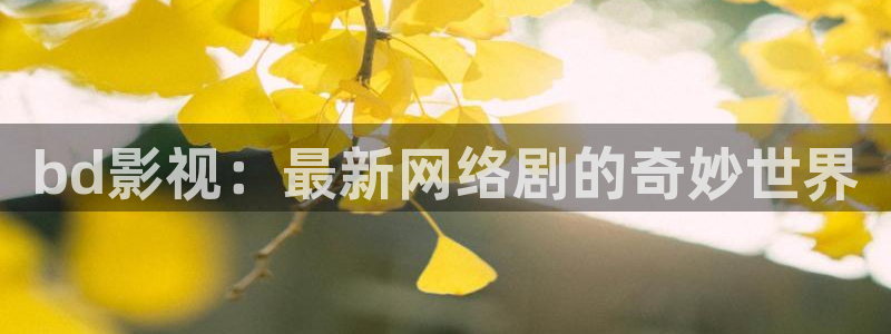 bd影视：最新网络剧的奇妙世界