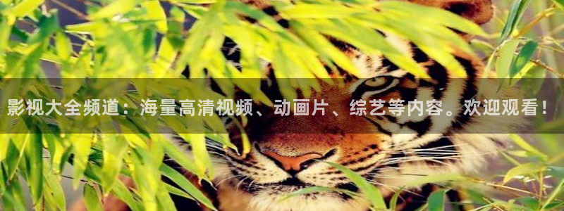 熊猫电影yy8y3(5)