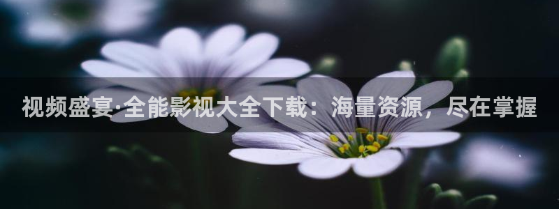 熊猫影视网站：视频盛宴·全能影视大全下载：海量资源，尽在掌握