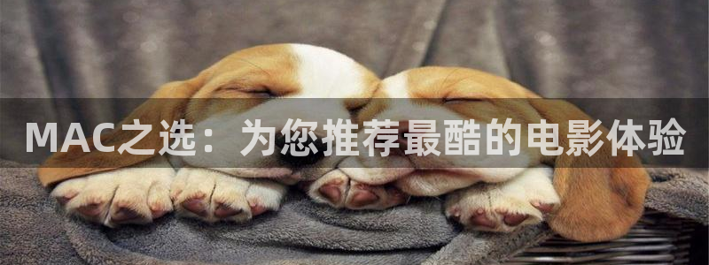 熊猫电影yy8y3免费观看全集：MAC之选：为您推荐最酷的电影体验
